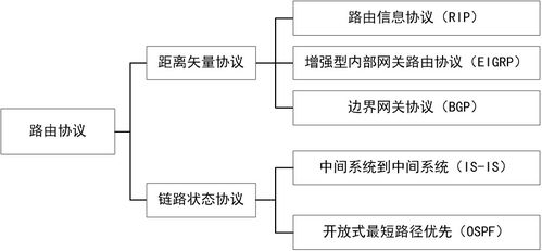 计算机网络学习之网络层